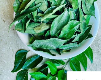 Natural Dried Curry Leaves Murraya Koenigii for Cooking