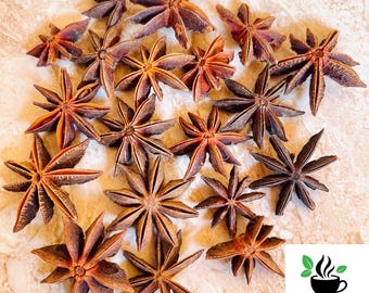 Sternanis, Illicium verum für Gewürze, Kochen, Tee und Aroma