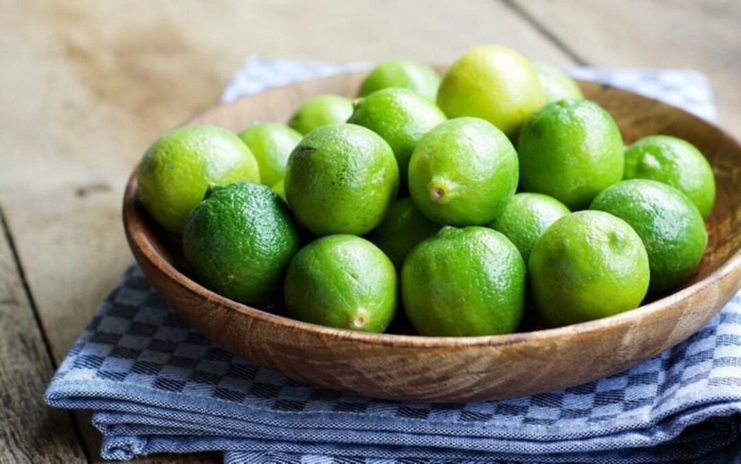 Key Lime Tree Seeds Pack, RARE Fruit Seeds for Home Gardening