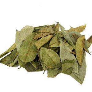 Plus de 100 feuilles de corossol, Annona muricata séchées, Feuille de guanabana, Livraison gratuite, Quantité de feuilles sélectionnée image 3