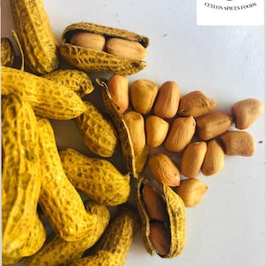 Peanut seeds, Ready for planting in home gardening, Enjoyable for kids, Raw Peanuts, Food making