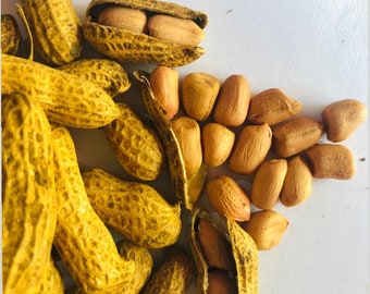 Peanut seeds, Ready for planting in home gardening, Enjoyable for kids, Raw Peanuts, Food making