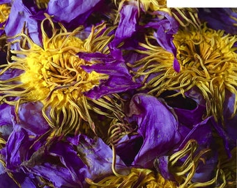 Dehydrated Blue Lotus Flowers Nymphaea Caerulea, Calming Tea