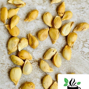 May include: A close-up of a pile of dried apricot kernels. The kernels are a pale yellow color and have a slightly wrinkled texture.