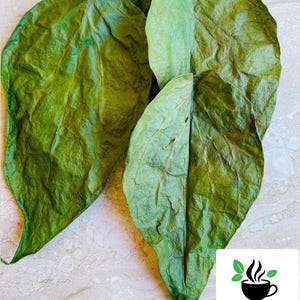 Betel Leaf & Powder, Dried Piper betel Leaves and Powder