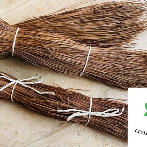 Pine Needle Leaves for crafting and tea