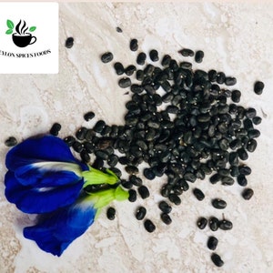 May include: A close-up of a pile of dark blue butterfly pea flower seeds on a light beige surface. A blue butterfly pea flower is in the foreground.