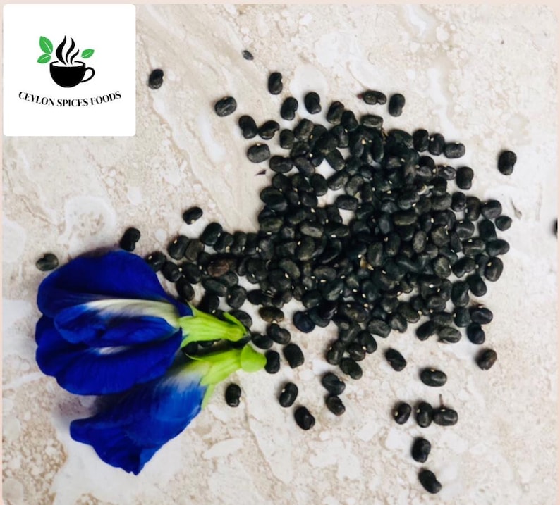 May include: A close-up of a pile of dark blue butterfly pea flower seeds on a light beige surface. A blue butterfly pea flower is in the foreground.