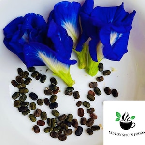 Butterfly Pea seeds, Clitoria Ternatea, Asian pigeonwings for home gardening & Tea making