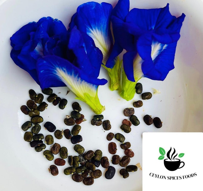 May include: Close-up of blue butterfly pea flowers and their dark brown seeds on a white plate. The seeds are scattered around the flowers. The text "CEYLON SPICES FOODS" is visible in the lower right corner of the image.