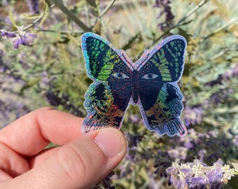 Sparkly Sunset Moth Sticker