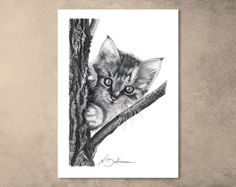 Kitten in Tree, Animal Illustration, Original Artwork, Ink & Graphite Mixed Media Drawing, Art Print
