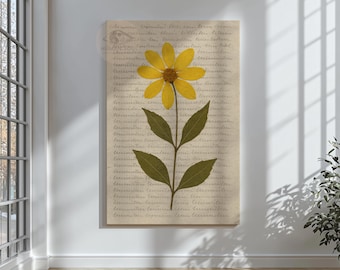Puede incluir: Una margarita amarilla prensada con hojas y tallo verdes, montada sobre un fondo de papel vintage. El papel tiene escritura descolorida y un tono sepia. La obra de arte se exhibe en una pared blanca, con luz natural y sombras.