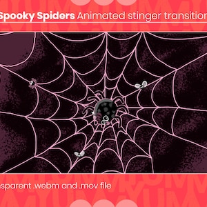 Animated Twitch stinger Scene transition for your Streams ・ Spooky spiders ・ Black and pink ・ Halloween aesthetic ・ Cute spiders ・