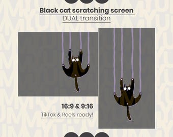 Black Cat Scratching Stinger Transition – webm - tik tok, reels, twitch ready