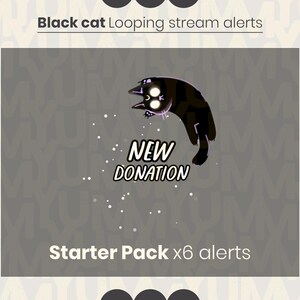 Puede incluir: Un gráfico digital que muestra un gato negro con ojos blancos brillantes y detalles morados, arqueado en un movimiento de salto. El texto NEW DONATION aparece en blanco con un borde negro, rodeado de pequeñas chispas blancas.