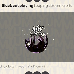 Looping Black Cat Play-streamwaarschuwingen ・ Curious Cat ・ Donatie, volgen, abonnee, toejuichen, hosten, raid