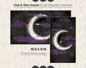 Black Cat & Moon Animated DUAL Stream Screens, Halloween Overlay (Digital Download)