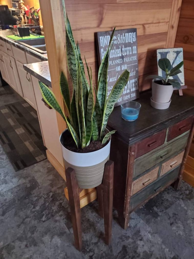 Mid Century Modern Plant Stand: Walnut or Pine, Handmade - Etsy