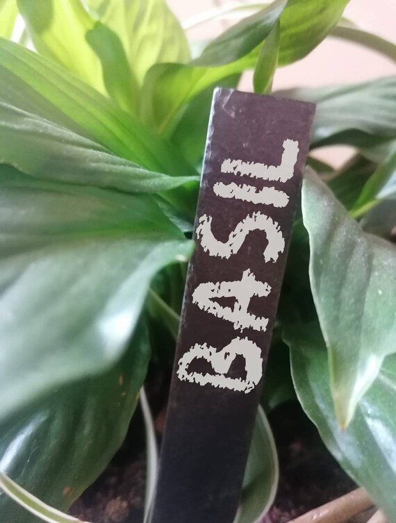 Blank Slate Plant Labels Gardening Planting Pot Markers Tag Etsy