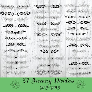 May include: A set of 37 black and white greenery dividers, perfect for adding a touch of nature to your designs. The dividers feature various styles of leaves, branches, and flowers.