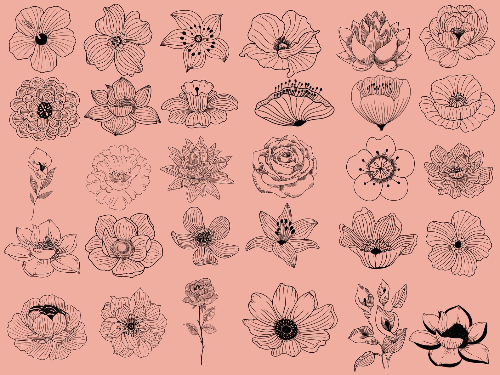 Pocreate Flower Stamps | Procreate Floral Brushset | Procreate ...