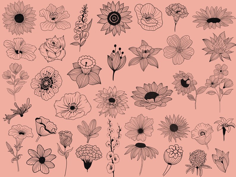 Pocreate Flower Stamps | Procreate Floral Brushset | Procreate ...