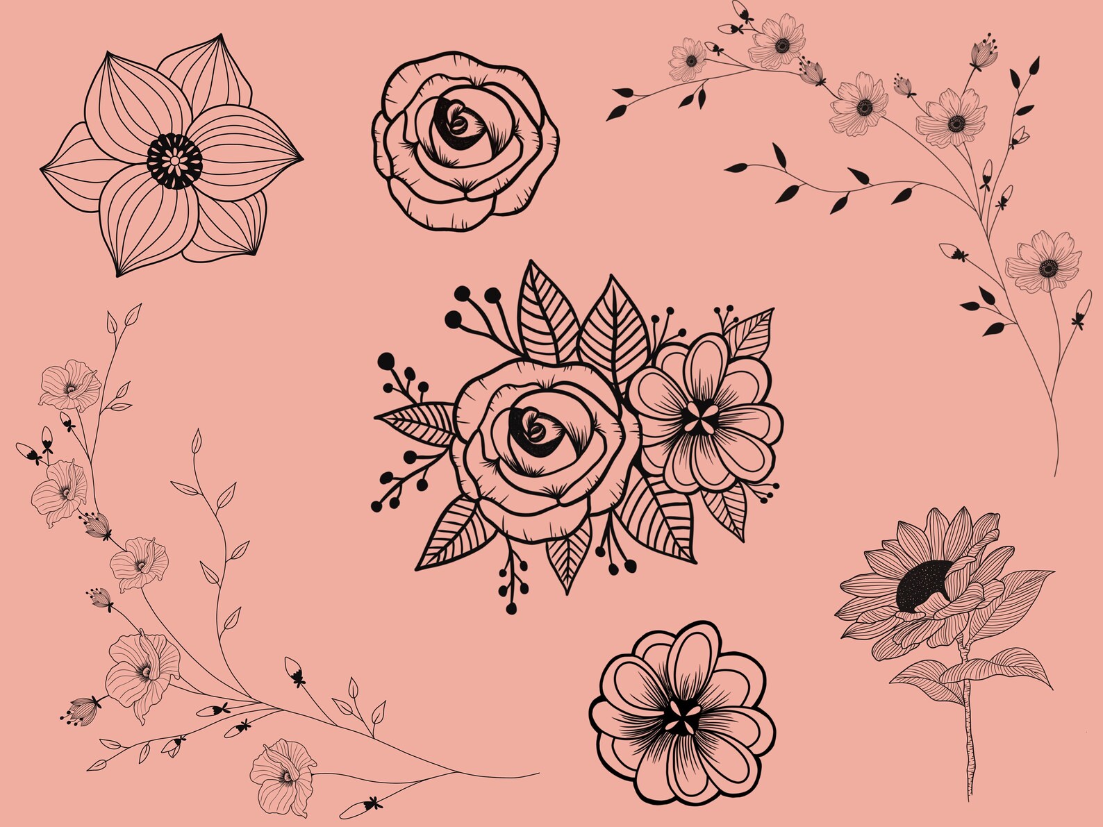 Pocreate Flower Stamps | Procreate Floral Brushset | Procreate ...