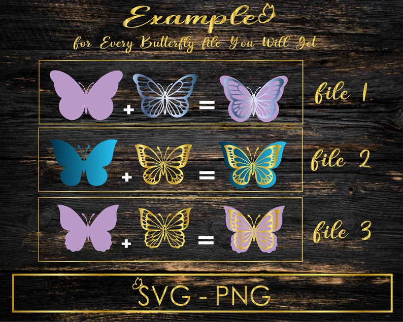 May include: A graphic showing three different butterfly designs. Each design is shown in three variations: a purple butterfly, a blue butterfly, and a gold butterfly. The text "file 1", "file 2", and "file 3" is shown next to each set of butterflies. The text "SVG - PNG" is shown at the bottom of the graphic.