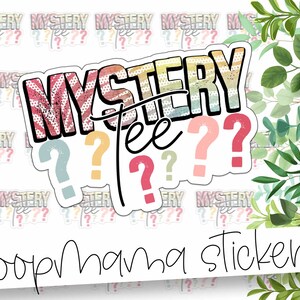 Mystery Tee Stickers - Vraagteken Kleurrijke Verrassing Sticker - Grote 2 Inch Sticker Voor Kleine Winkel - Winkel Kleine Sticker - 24 Sticker Sheet