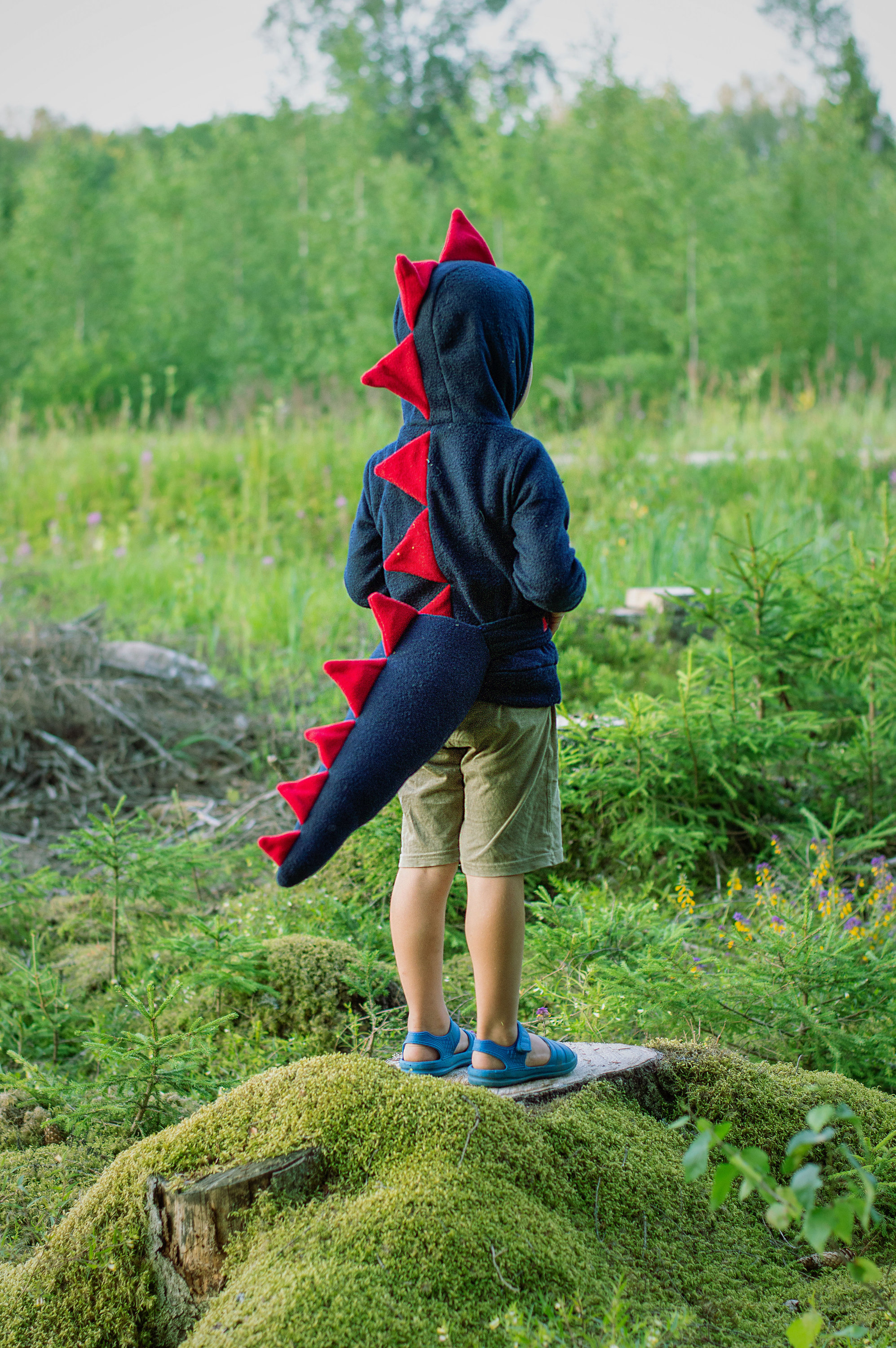 Dinosaur Tail Dragon Tail Kids Costume Outfit Birthday Party