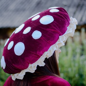 May include: A red velvet mushroom hat with white polka dots and a white lace trim.