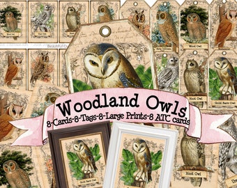 WOODLAND OWLS BUNDLE Hermoso Vintage Junk Journal Ephemera Tags Tarjetas Aves Exóticas Imprimibles Alta Resolución 8x11 Impresiones Digitales