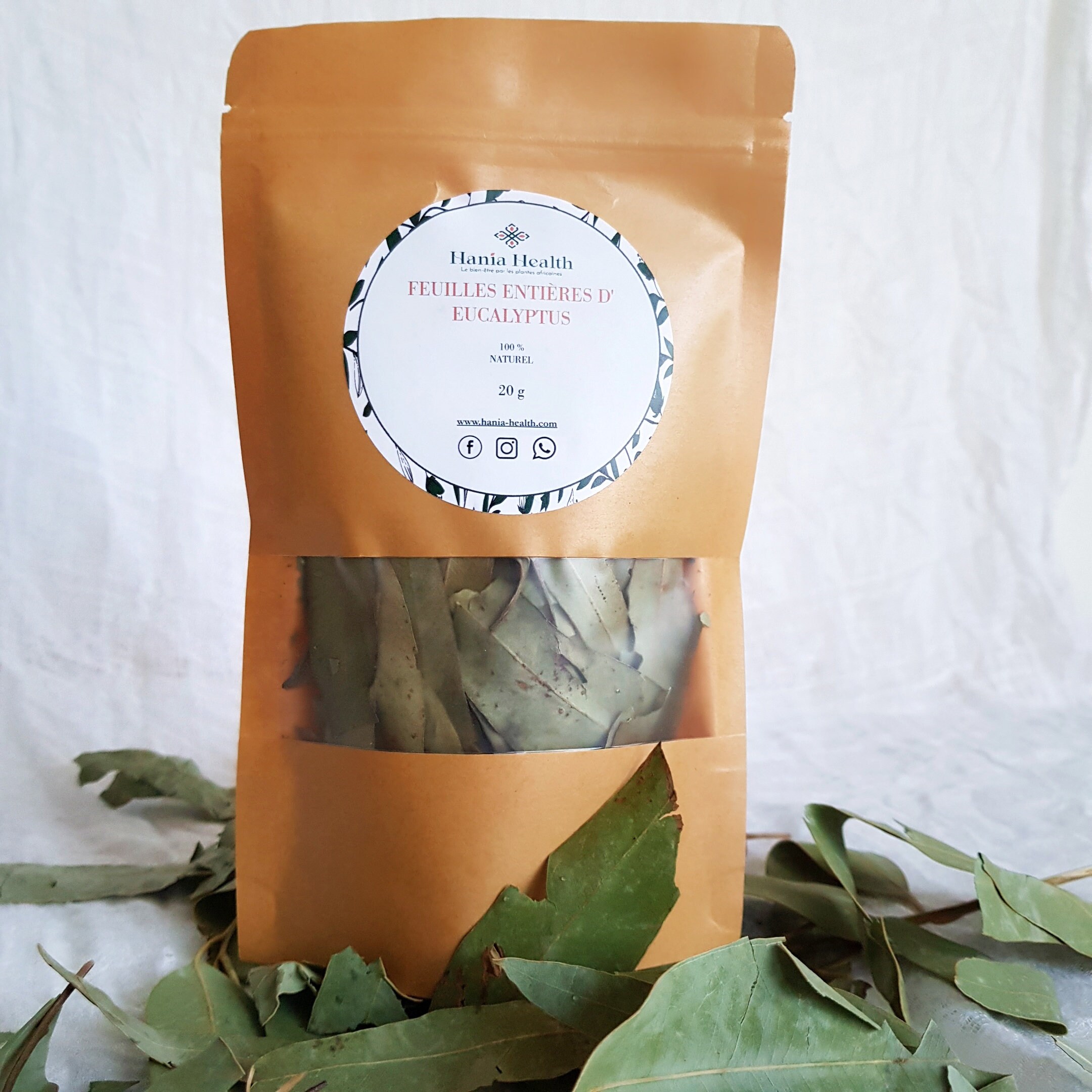 Feuilles Entières d'eucalyptus