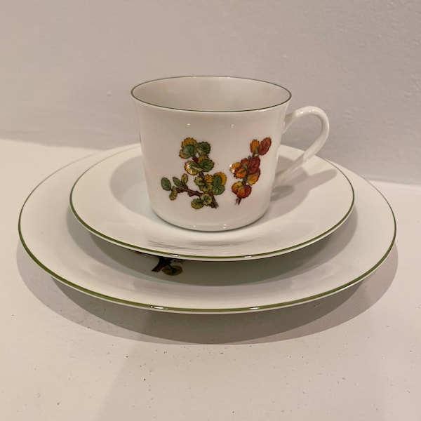 Porsgrund from Norway Breakfast Set/Plate, Cup, Saucer/Demitasse/Mountain Flower Series:  Dwarf Birch-Betula Nana