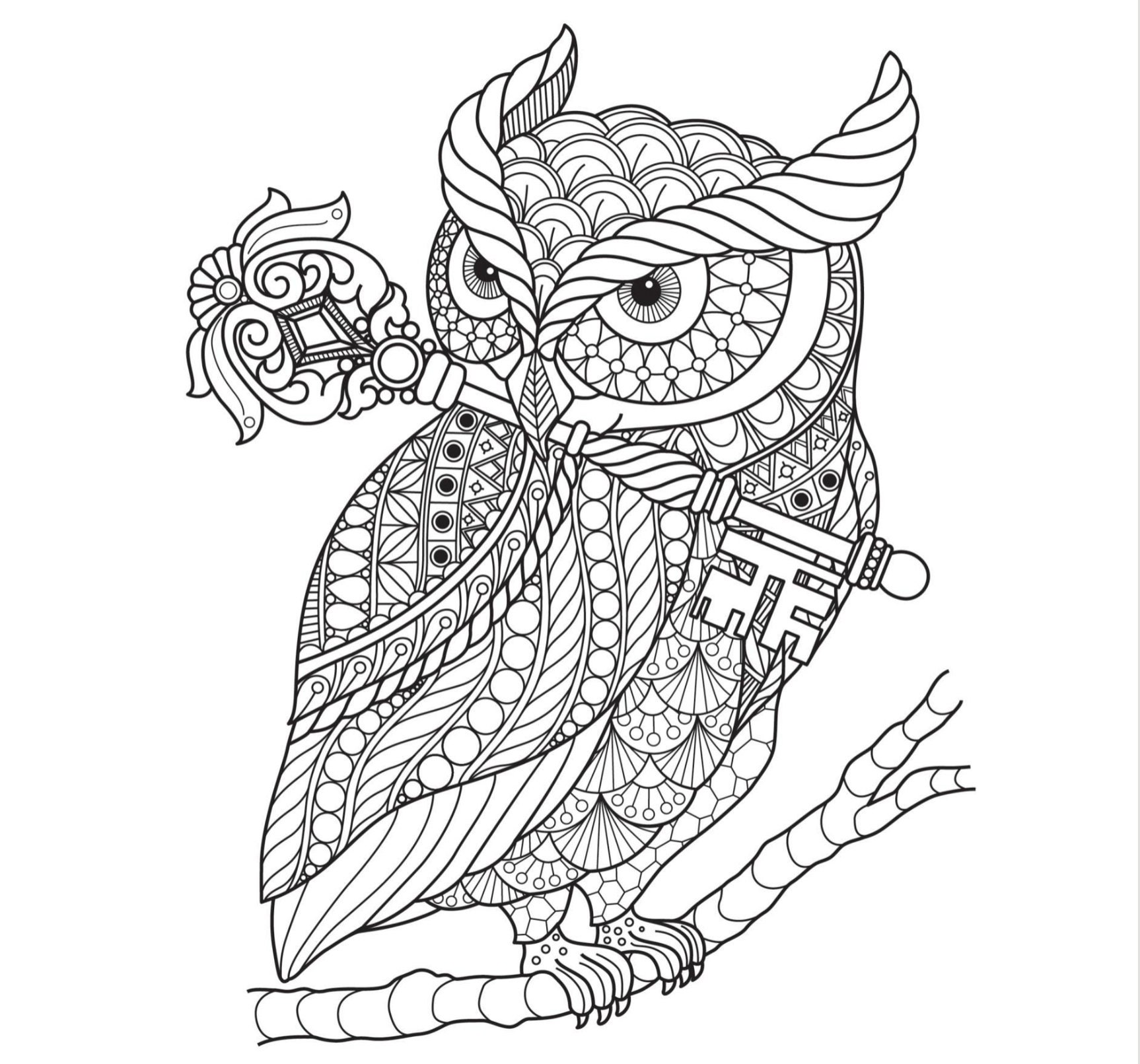 Geometric Animals Coloring Books for Adults: A stress relieving adult  coloring book with unique animal and geometric designs! Owls, Elephants,  Llamas