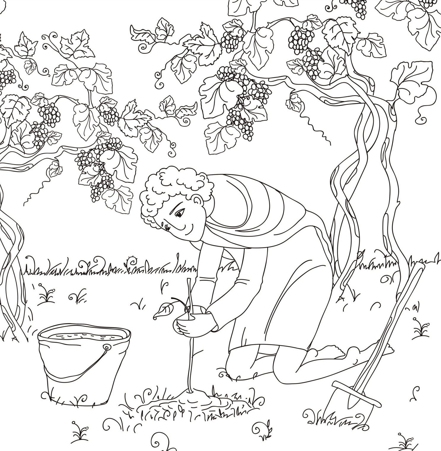 Fabulous Gardens Coloring Book for Adults Gardening Design - Etsy Ireland