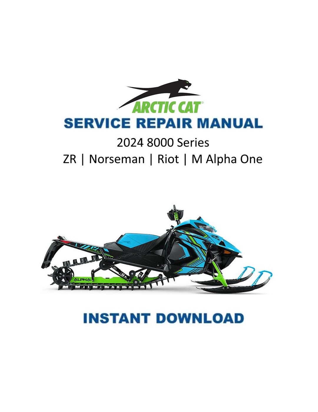 2024-2025 Arctic Cat ZR Riot Norseman M Alpha One 8000 サービス 