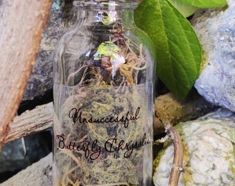 Unsuccessful Butterfly Chrysalis