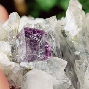 Purple Fluorite on Quartz and Dolomite with Bismuthinite