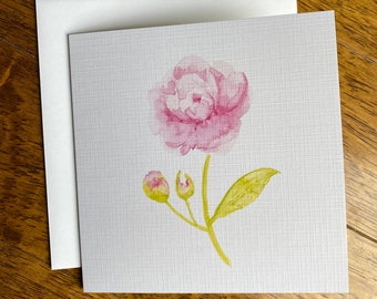 Peony (pink) Watercolour Blank Greeting Card