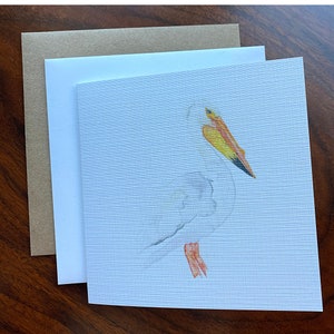 Carte blanche de voeux d’aquarelle de pélican