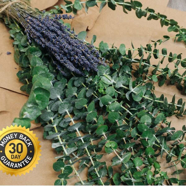 Eucalyptus and Lavender Shower Bundle Etsy