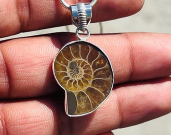 Puede incluir: Un collar de cadena de plata con un colgante que presenta un amonite fosilizado. El amonite es una concha en espiral de color marrón y dorado.