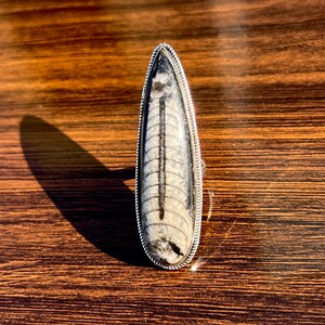 Orthoceras Fossil Ring Solid 925 Sterling Silver Large Fossil Ring Statement Ring One of kind OOAK Jewelry Handmade Bohemian Ring Gift Her
