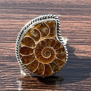 Handmade Sterling Silver Ammonite Fossil Cocktail Ring (19x24 MM)