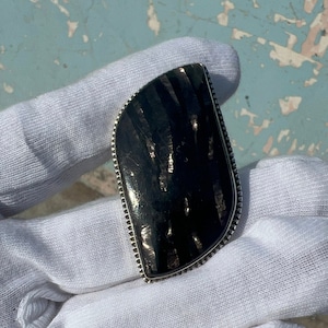 Peut inclure: Un pendentif noir et argent avec une pierre striée et irisée sertie dans une bélière en argent.