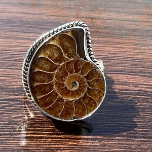 Handmade Sterling Silver Ammonite Fossil Ring - Large Cocktail Ring