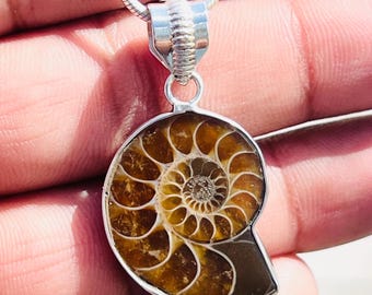 Puede incluir: Un collar de cadena de plata con un colgante que presenta un amonite fosilizado. El amonite es una concha en espiral de color marrón y dorado.