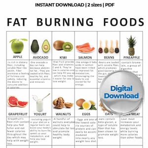 Aliments qui brûlent les graisses, Listes d'aliments, Défi Perte de graisse abdominale, Guide alimentaire, Aliments à manger, Alimentation saine, Alimentation saine Télécharger le PDF